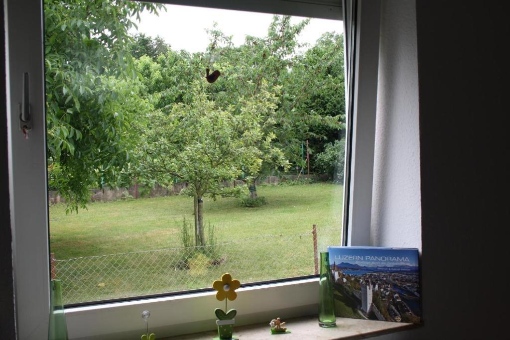 Casa Mya Flat With Gardenaccess And Terrase Apartamento Kassel Exterior foto